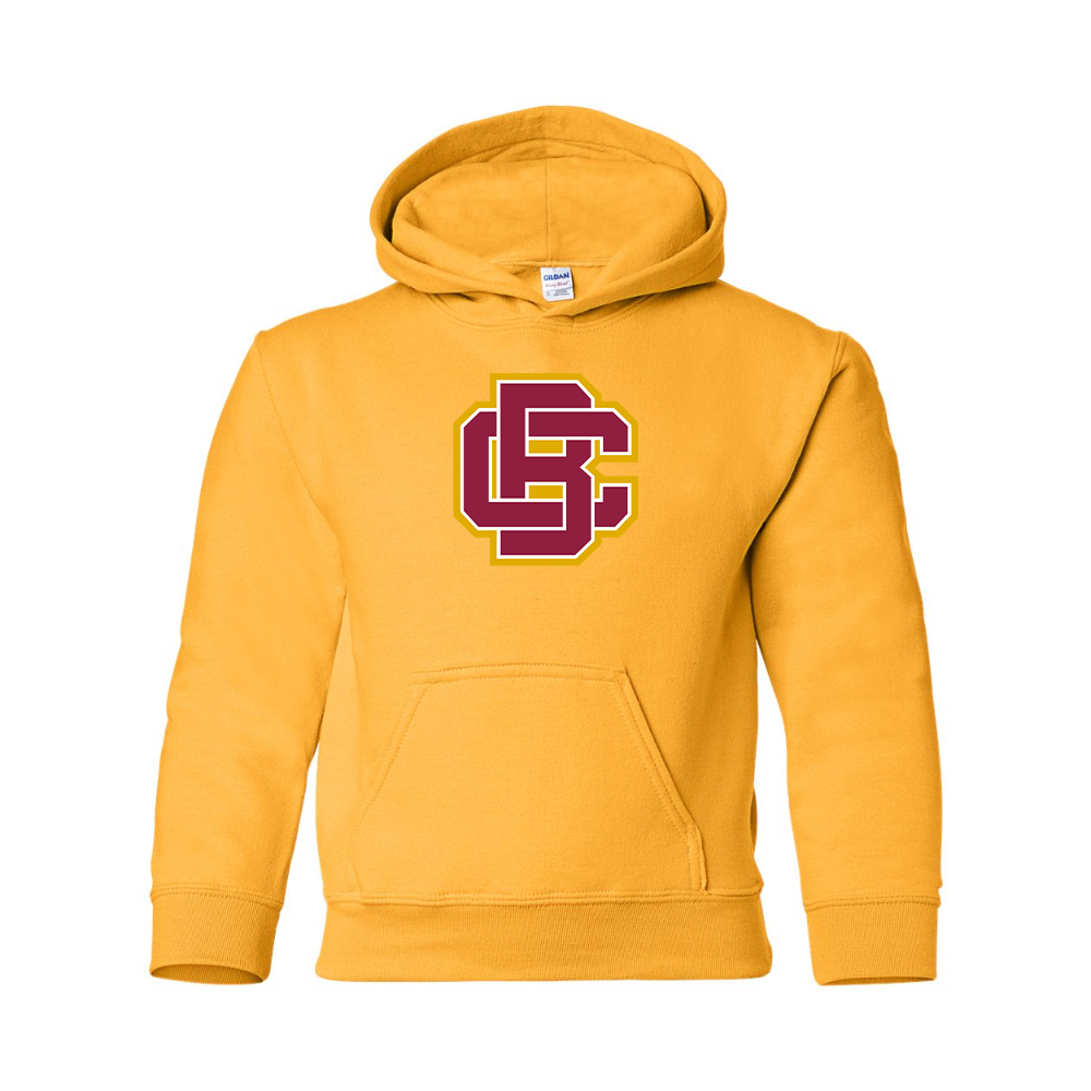 Youth Bethune Cookman Wildcats Gildan Heavy Blend  Hooded Sweatshirt