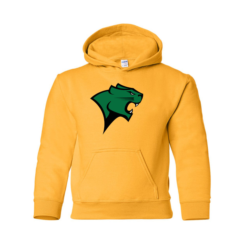 Youth  Chicago State Cougars  Gildan Heavy Blend  Hooded Sweatshirt