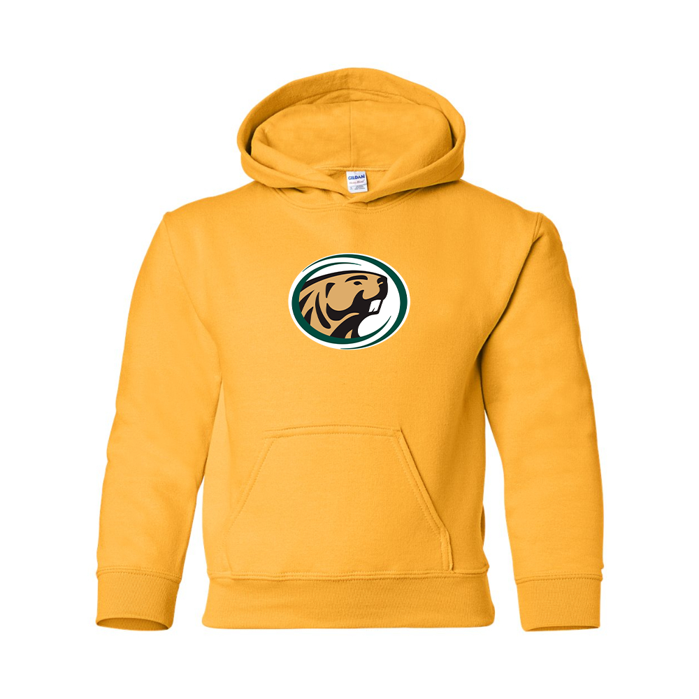 Youth   Bemidji State Beavers Gildan Heavy Blend  Hooded Sweatshirt