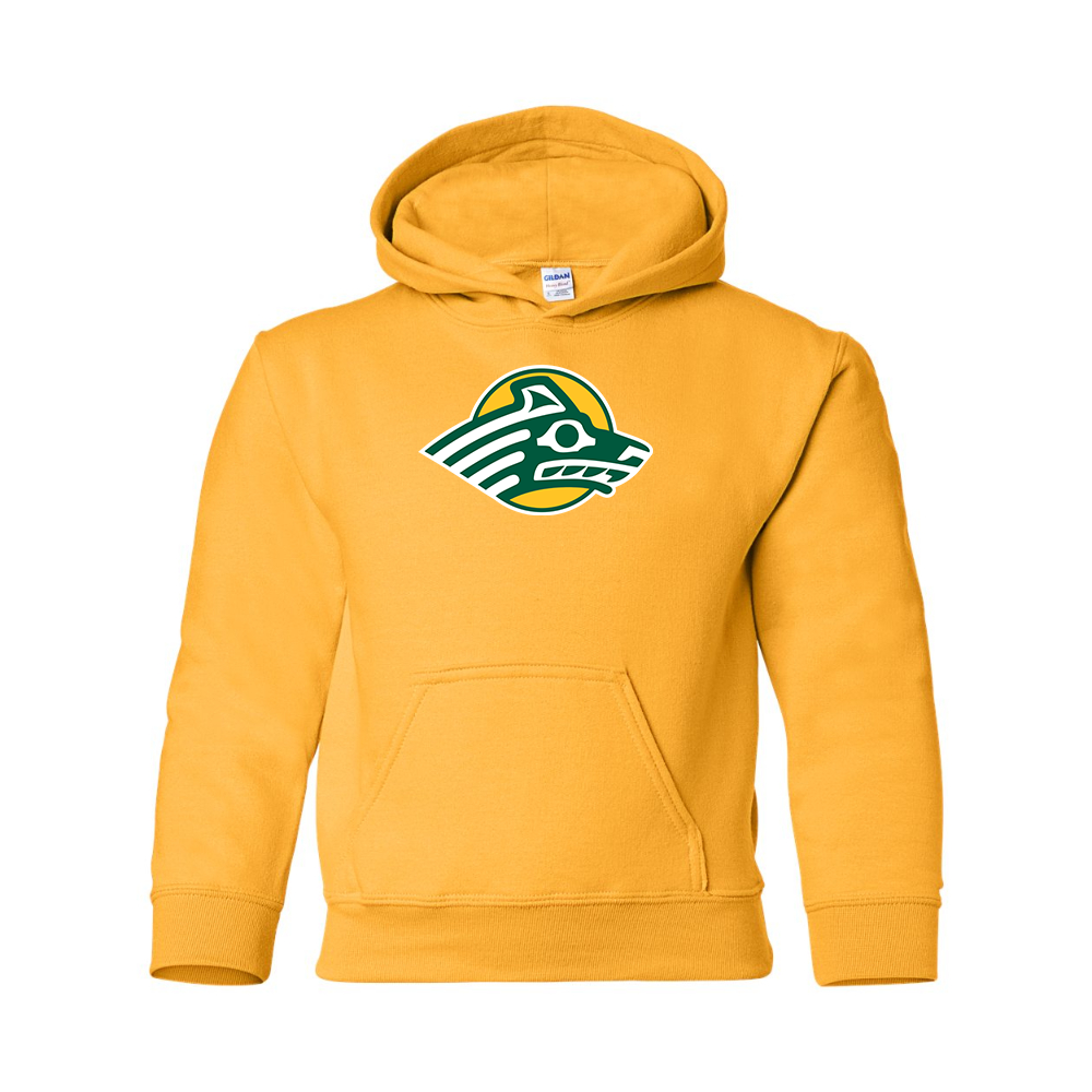 Youth Alaska Anchorage Seawolves  Gildan Heavy Blend  Hooded Sweatshirt