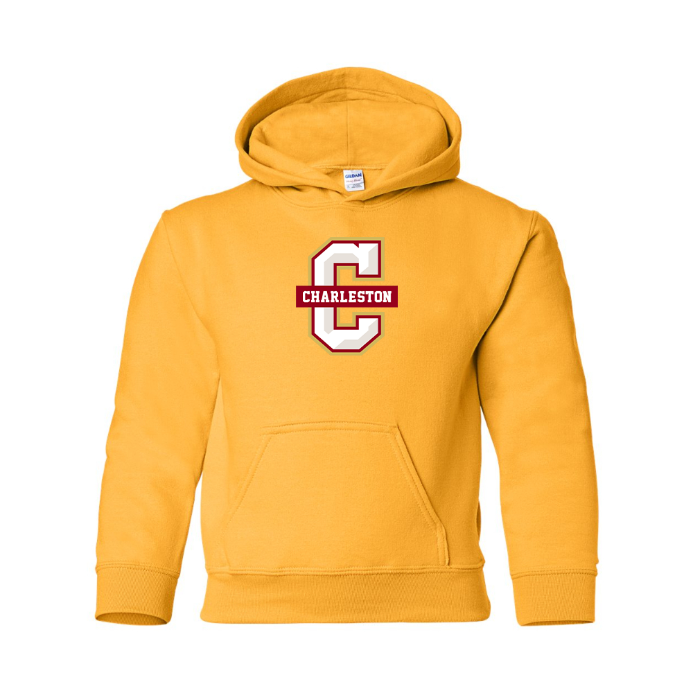 Youth Charleston Cougars Gildan Heavy Blend  Hooded Sweatshirt