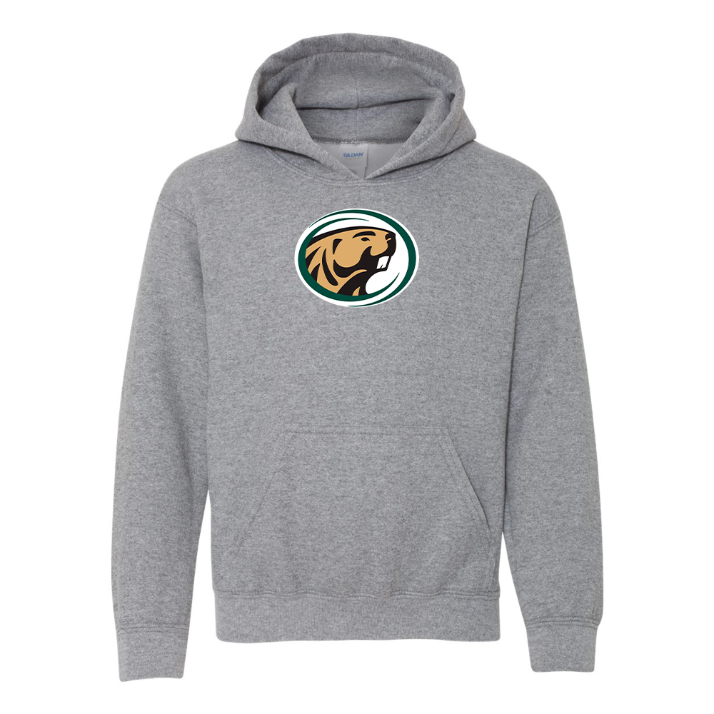 Youth   Bemidji State Beavers Gildan Heavy Blend  Hooded Sweatshirt