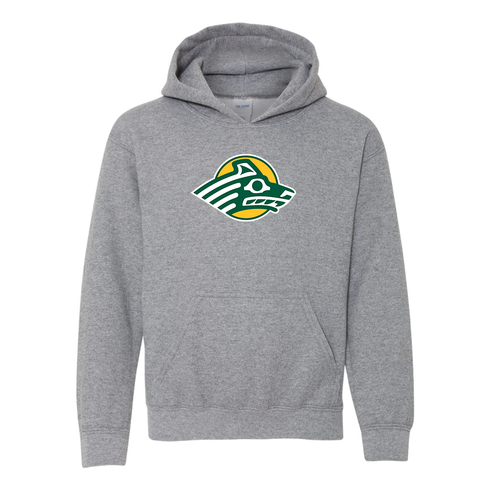 Youth Alaska Anchorage Seawolves  Gildan Heavy Blend  Hooded Sweatshirt