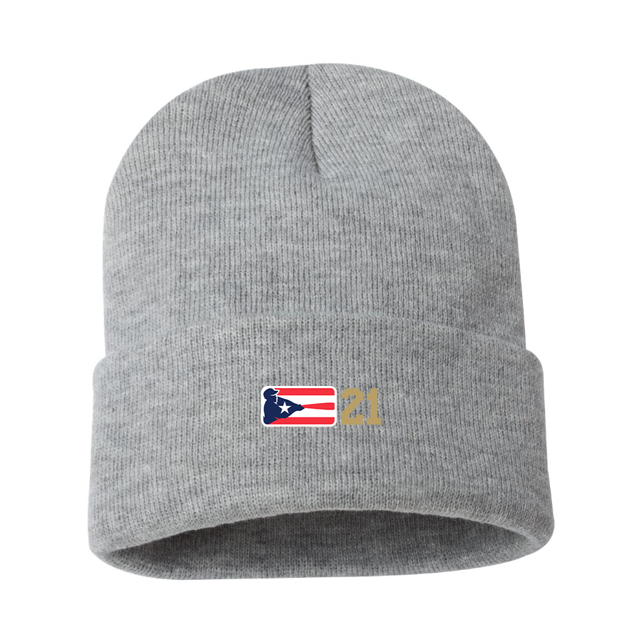 Liga de Beisbol Profesional Roberto Clemente Logo Beanie Hat