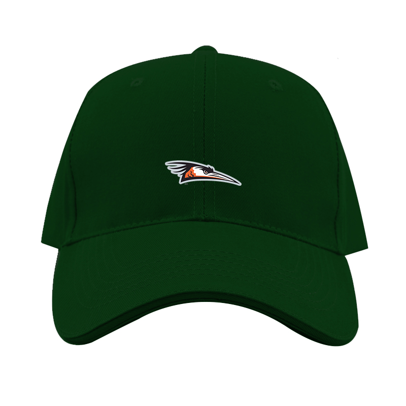 Delmarva Shorebirds Logo  Dad Baseball Cap Hat