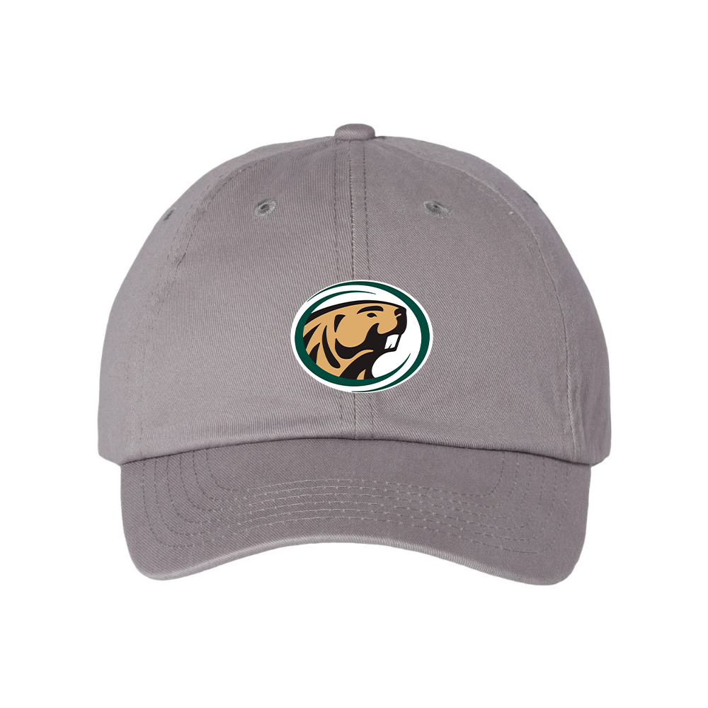 Bemidji State Beavers Valucap Adult Bio-Washed Classic Dad Hat