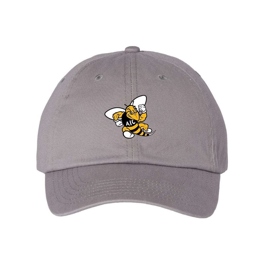 AIC Yellow Jackets  Valucap Adult Bio-Washed Classic Dad Hat