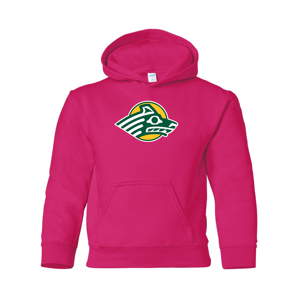 Youth Alaska Anchorage Seawolves  Gildan Heavy Blend  Hooded Sweatshirt