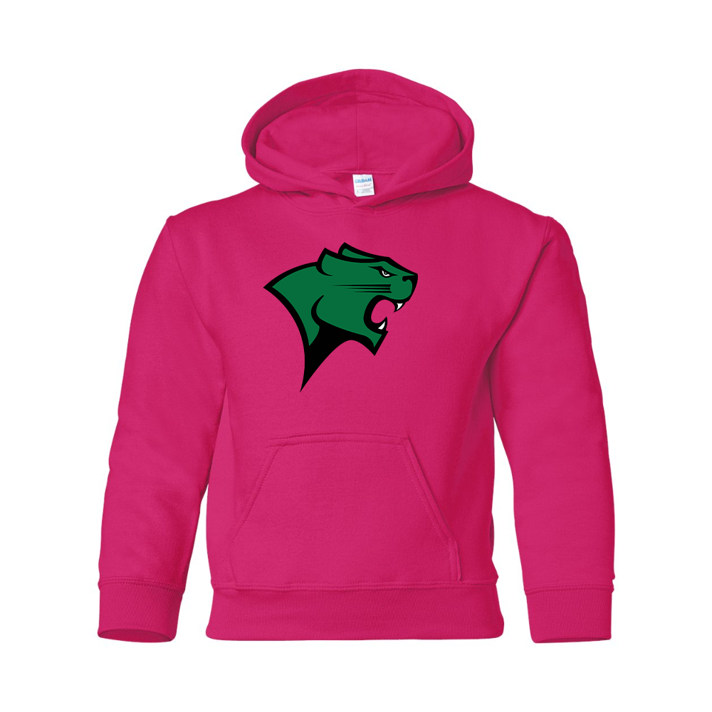 Youth  Chicago State Cougars  Gildan Heavy Blend  Hooded Sweatshirt
