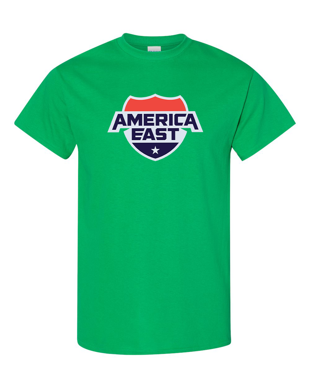 Men's   America East Conference Gildan Heavy Cotton T-Shirt