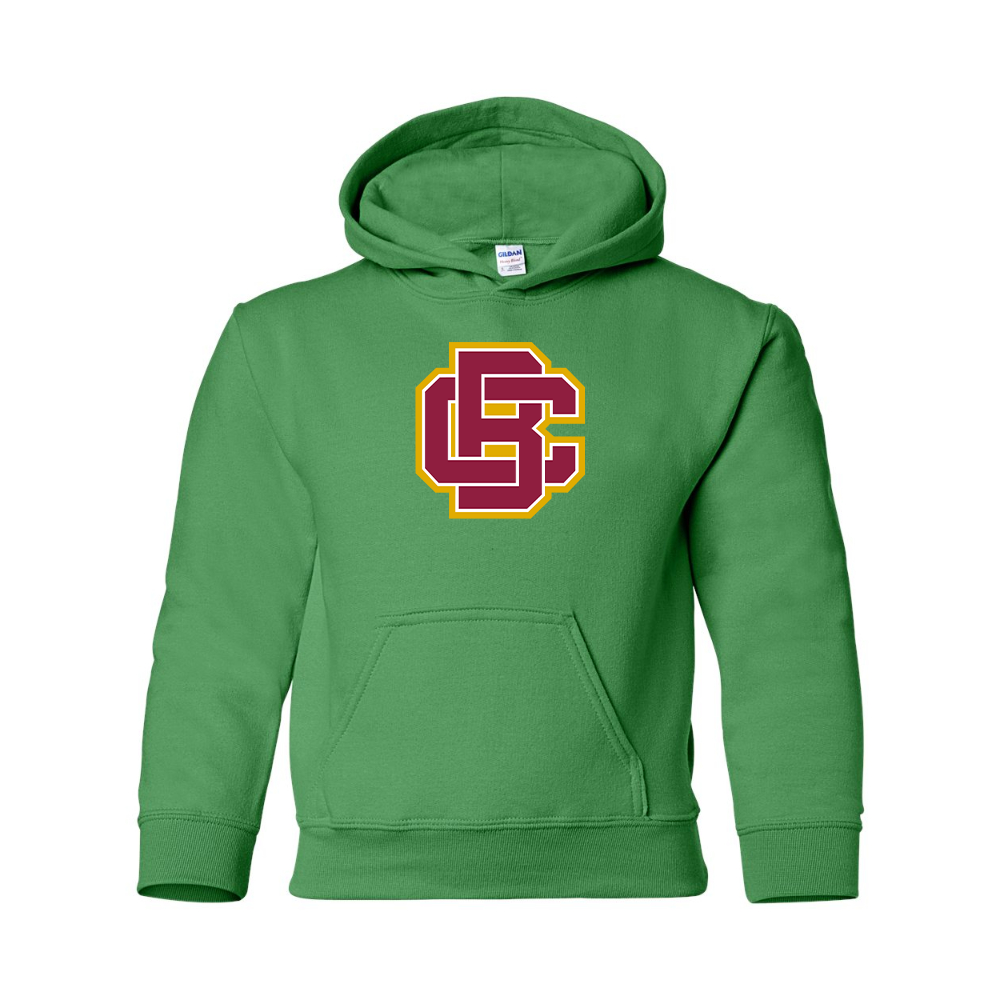 Youth Bethune Cookman Wildcats Gildan Heavy Blend  Hooded Sweatshirt
