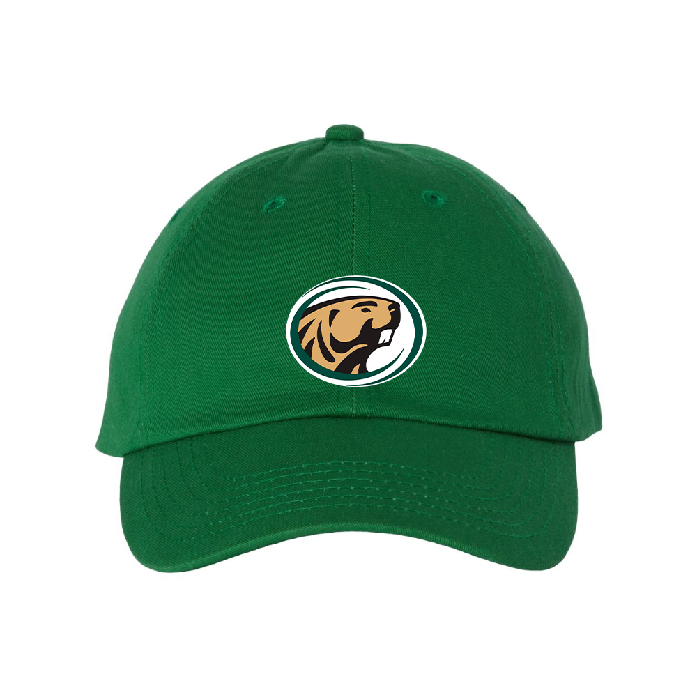 Bemidji State Beavers Valucap Adult Bio-Washed Classic Dad Hat