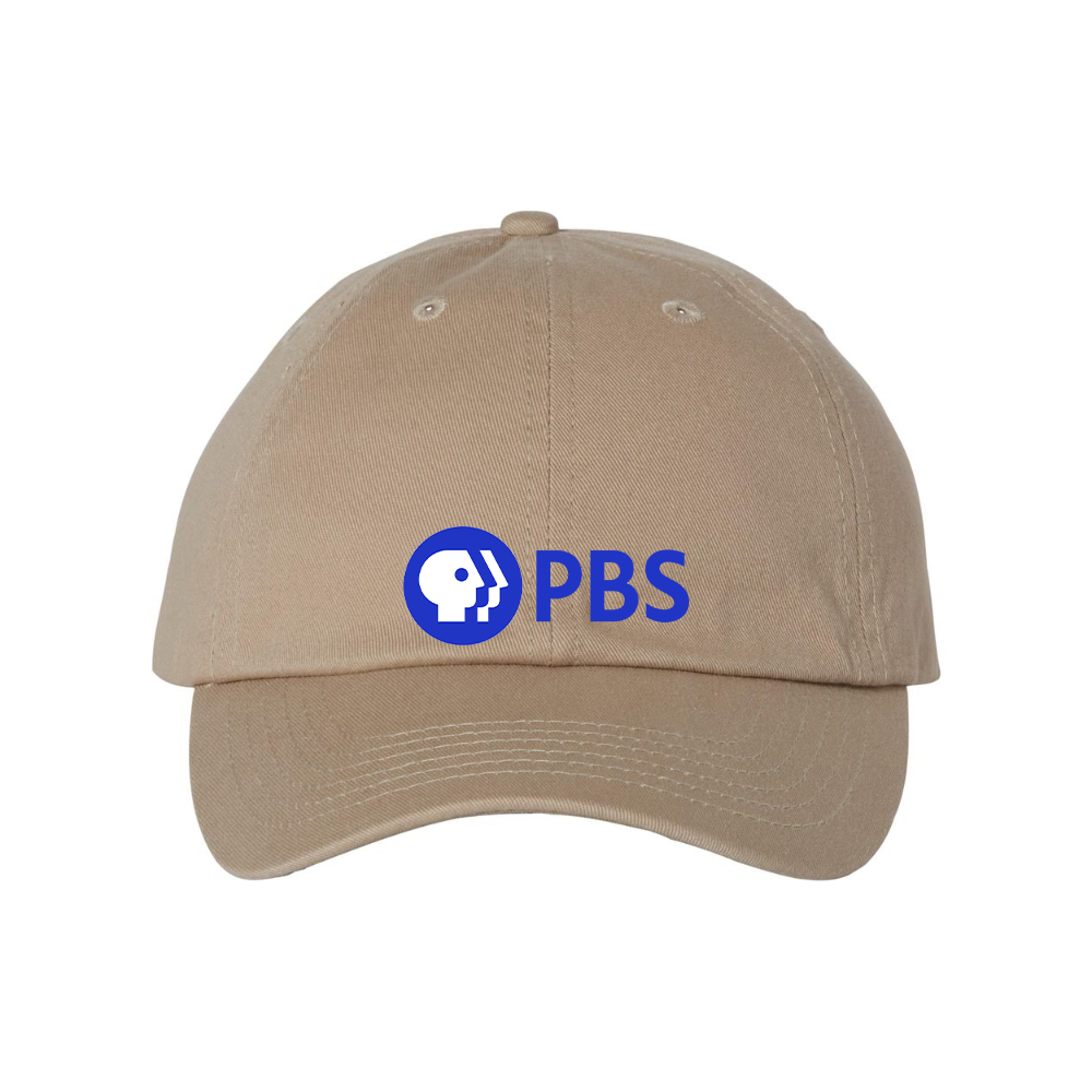 PBS Blue  Valucap Adult Bio-Washed Classic Dad Hat