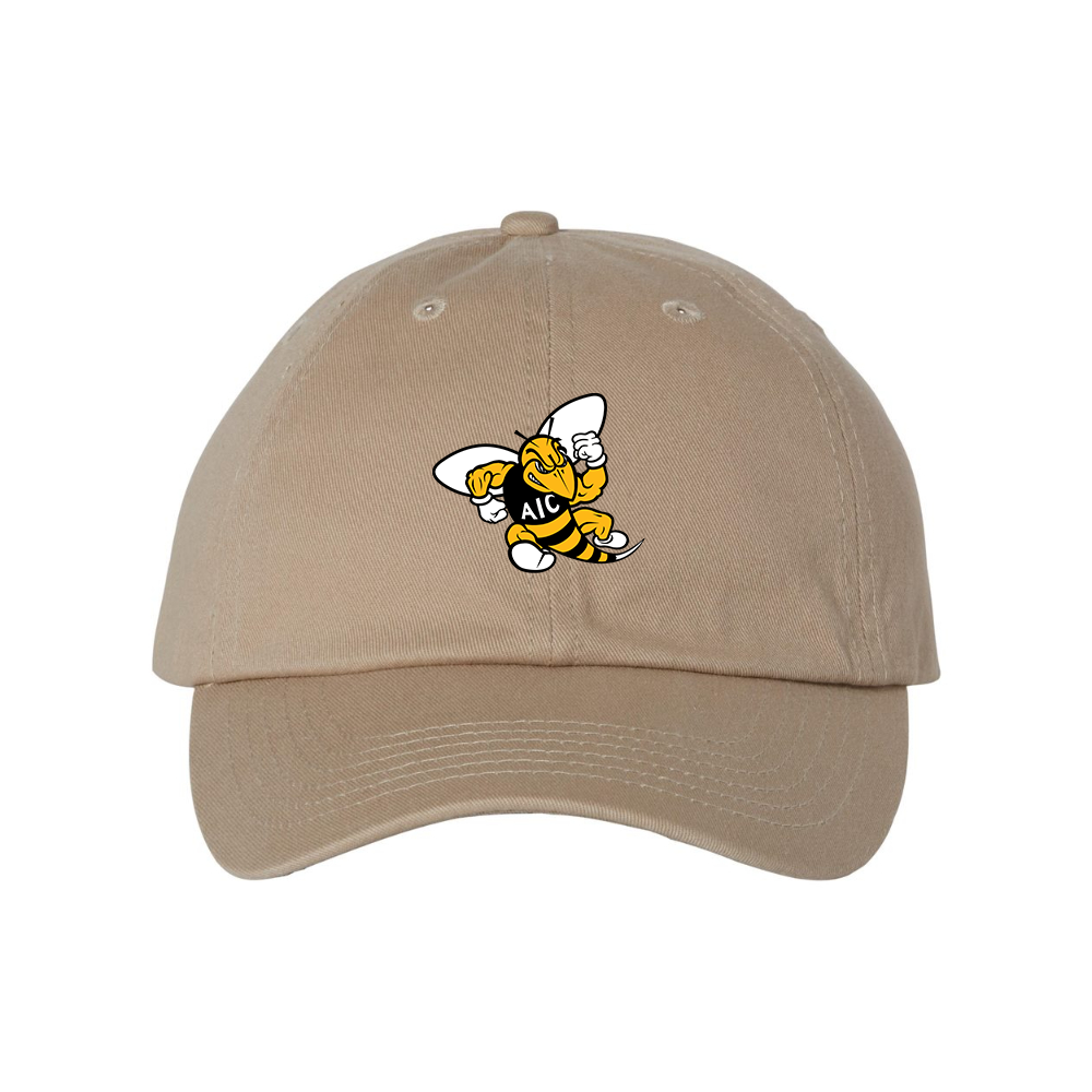 AIC Yellow Jackets  Valucap Adult Bio-Washed Classic Dad Hat