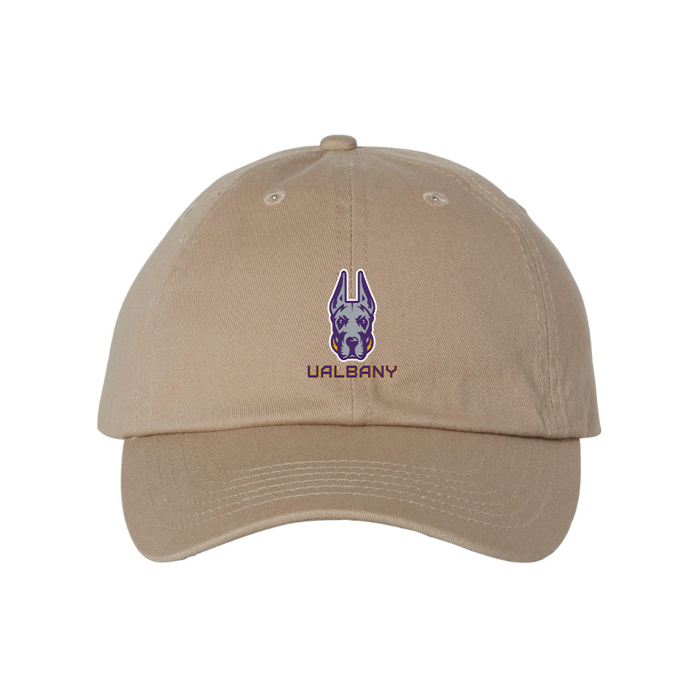 Albany Great Danes  Valucap Adult Bio-Washed Classic Dad Hat