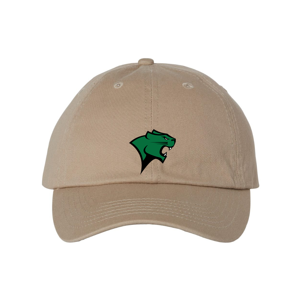Chicago State Cougars Valucap Adult Bio-Washed Classic Dad Hat