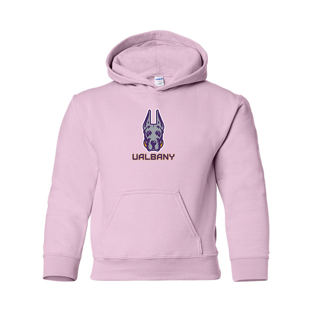 Youth Albany Great Danes Gildan Heavy Blend  Hooded Sweatshirt