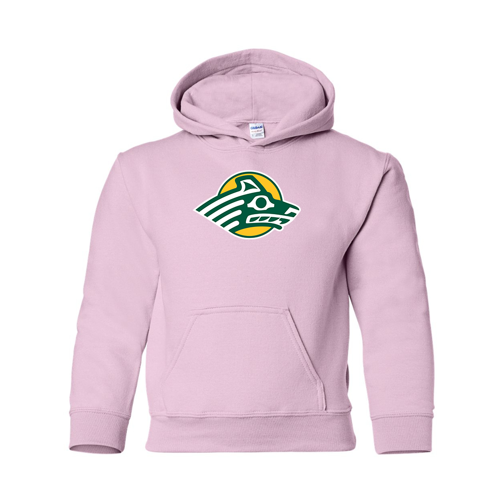 Youth Alaska Anchorage Seawolves  Gildan Heavy Blend  Hooded Sweatshirt