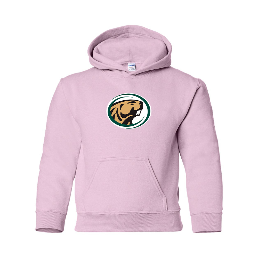Youth   Bemidji State Beavers Gildan Heavy Blend  Hooded Sweatshirt