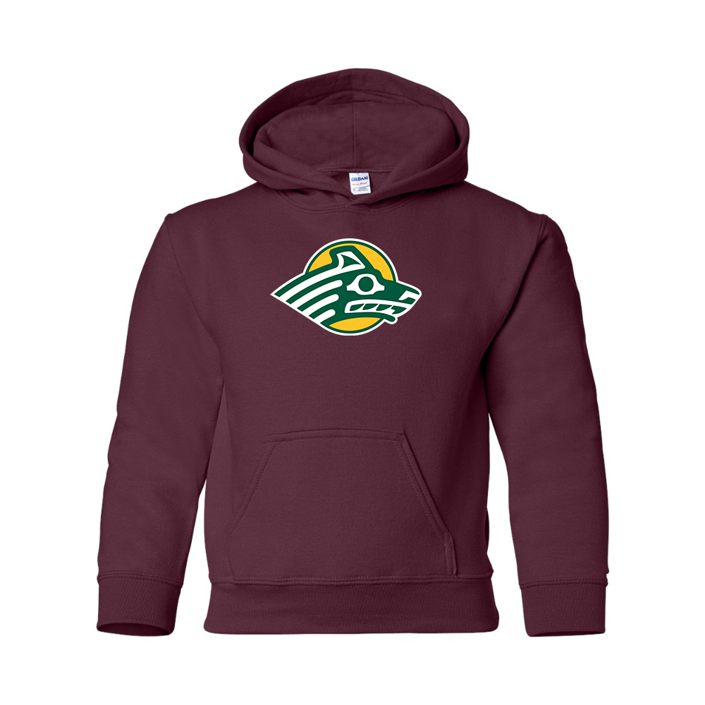 Youth Alaska Anchorage Seawolves  Gildan Heavy Blend  Hooded Sweatshirt