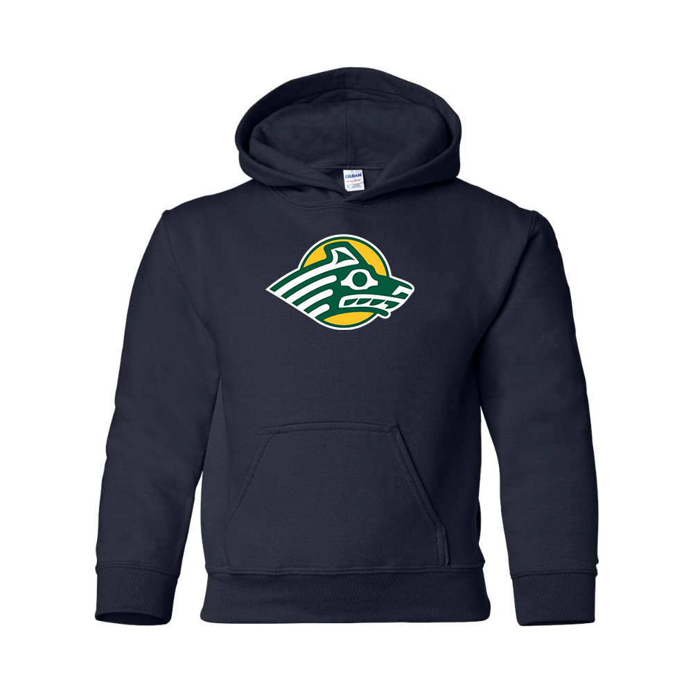 Youth Alaska Anchorage Seawolves  Gildan Heavy Blend  Hooded Sweatshirt