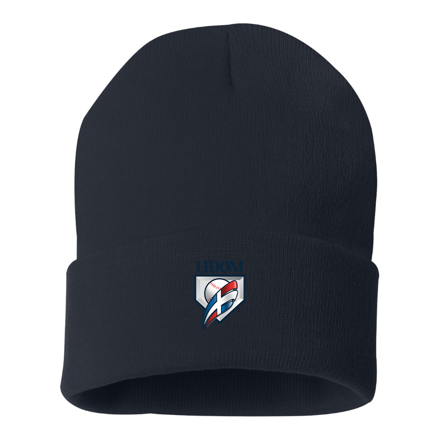 Lidom Logo Beanie Hat