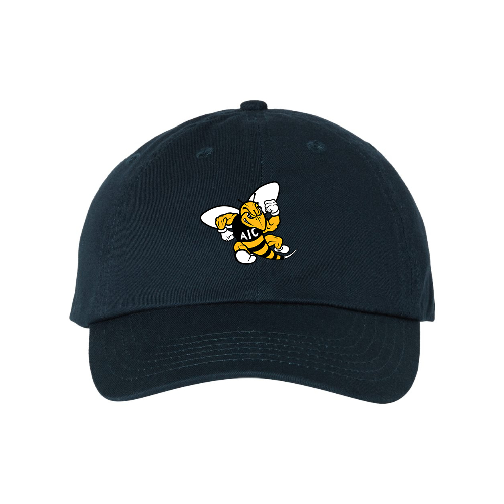 AIC Yellow Jackets  Valucap Adult Bio-Washed Classic Dad Hat