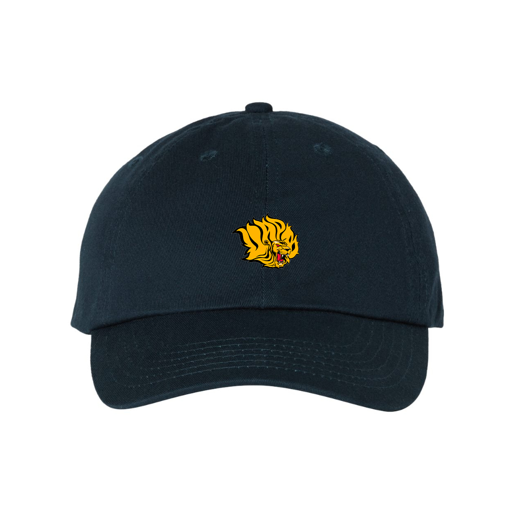 Arkansas PB Golden Lions Valucap Adult Bio-Washed Classic Dad Hat