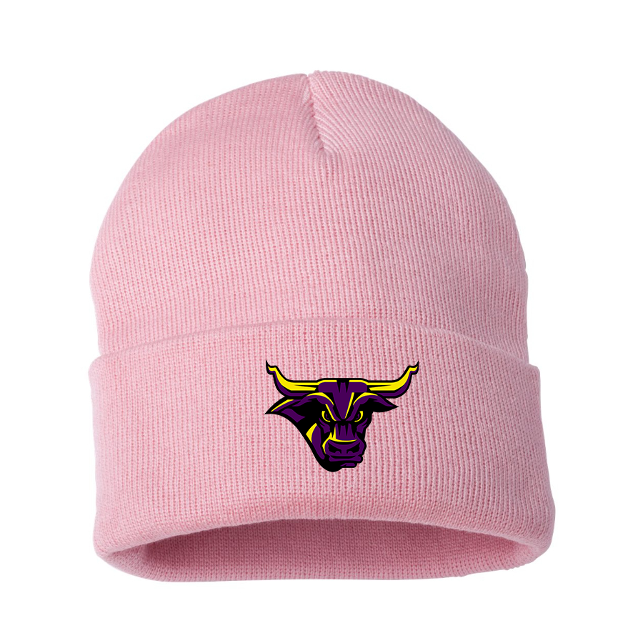 Minnesota State Mavericks Logo Beanie Hat