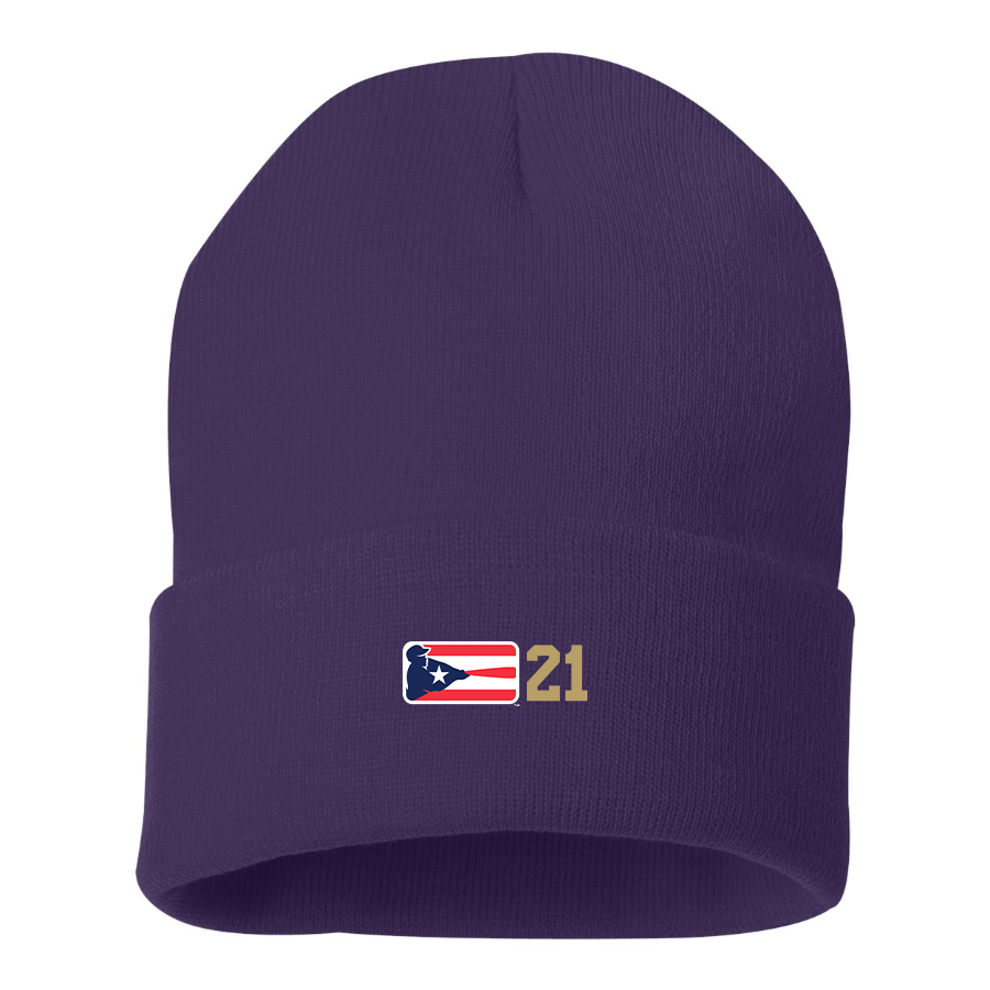 Liga de Beisbol Profesional Roberto Clemente Logo Beanie Hat