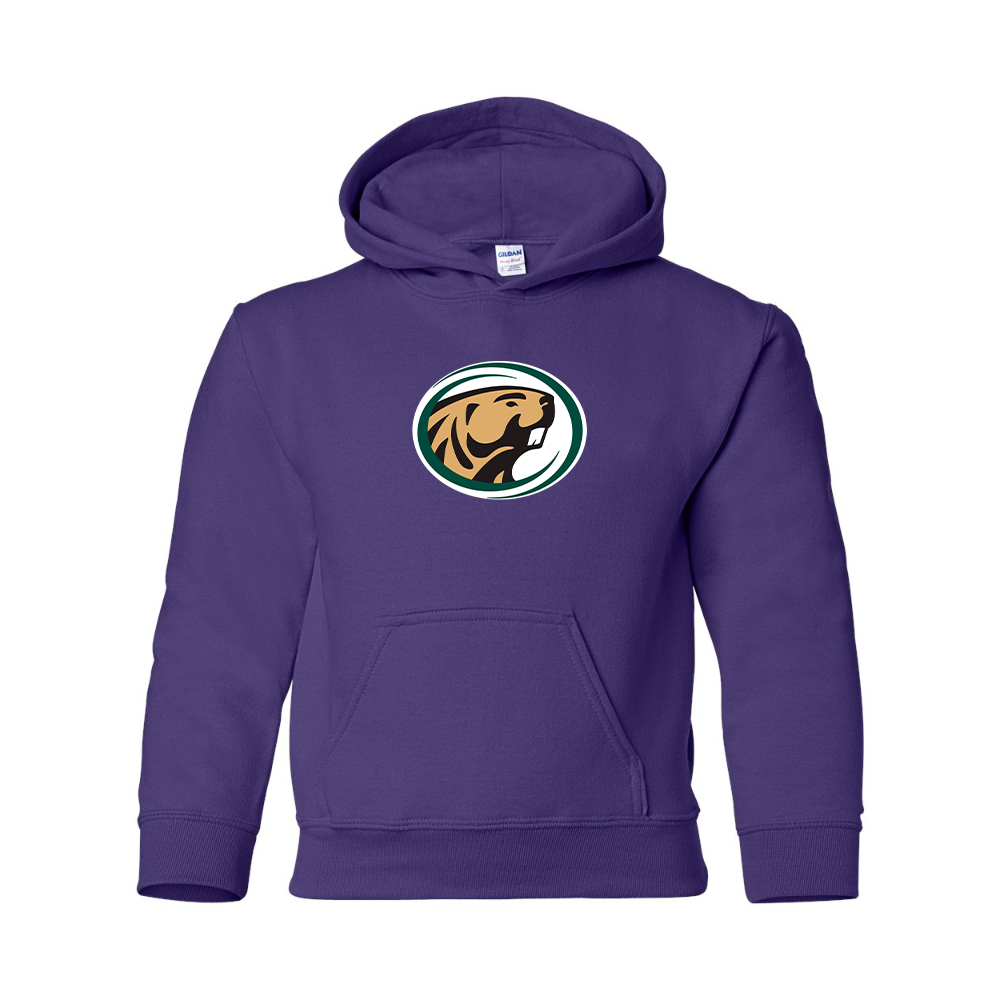Youth   Bemidji State Beavers Gildan Heavy Blend  Hooded Sweatshirt