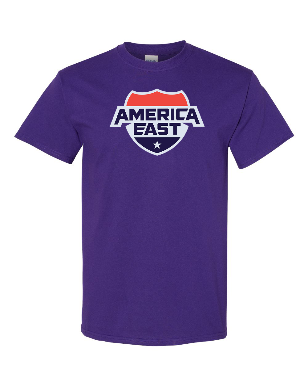 Men's   America East Conference Gildan Heavy Cotton T-Shirt