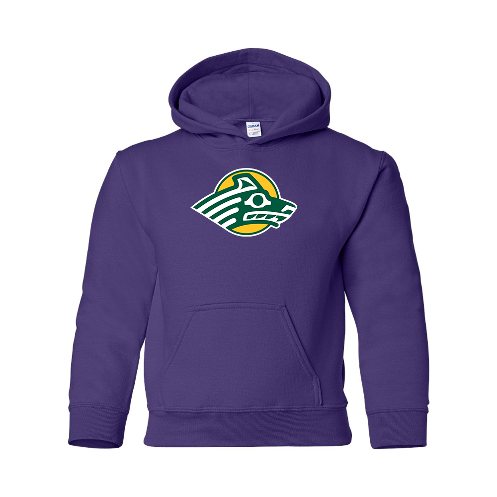 Youth Alaska Anchorage Seawolves  Gildan Heavy Blend  Hooded Sweatshirt