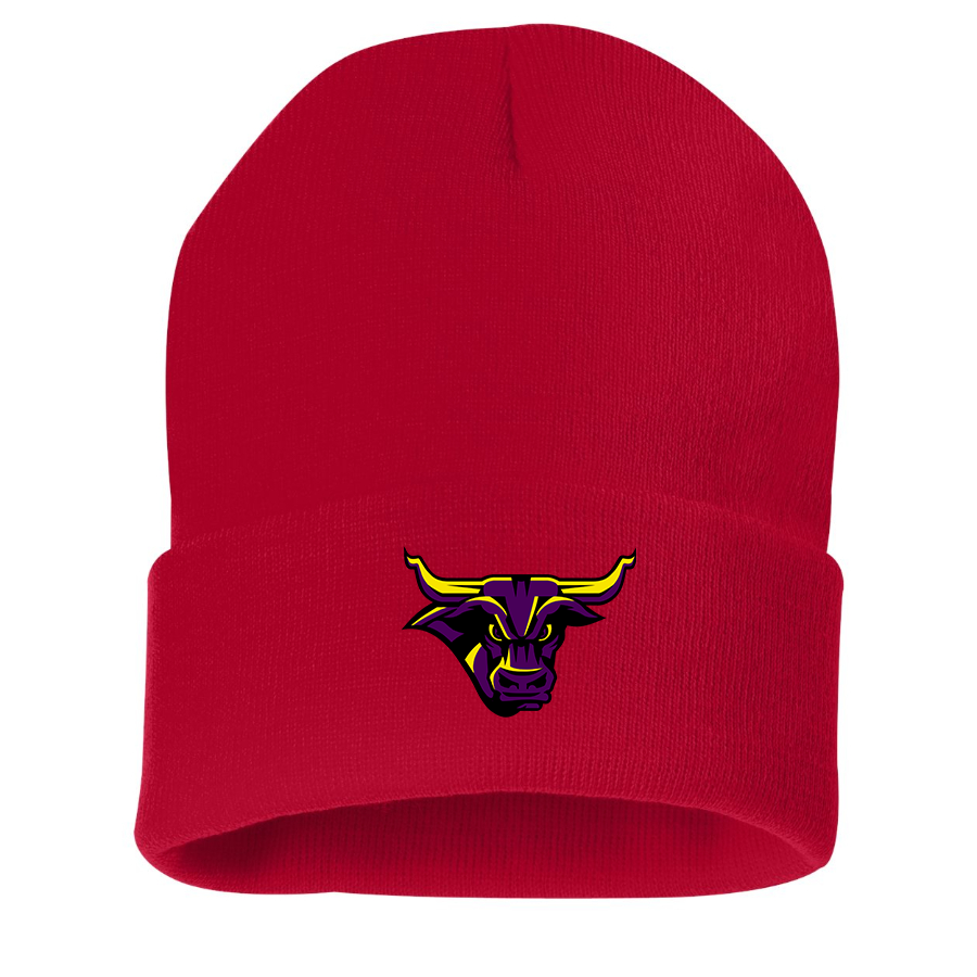Minnesota State Mavericks Logo Beanie Hat