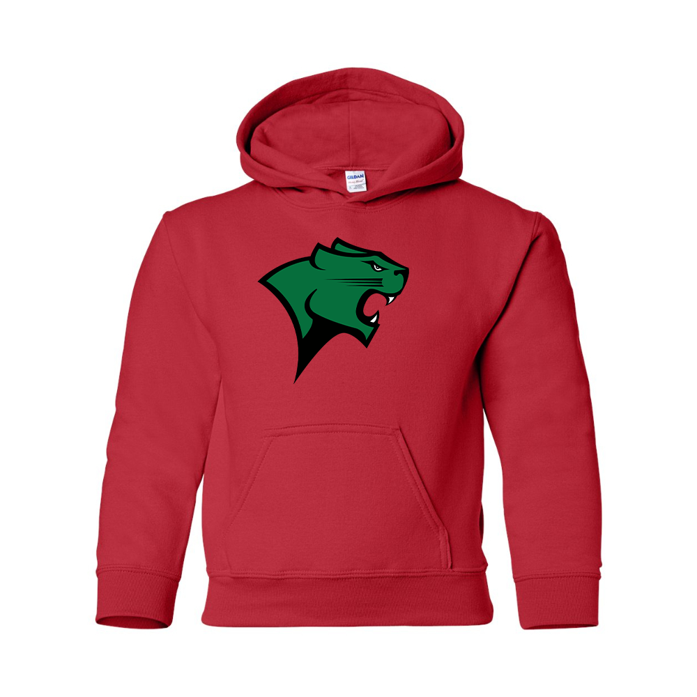 Youth  Chicago State Cougars  Gildan Heavy Blend  Hooded Sweatshirt