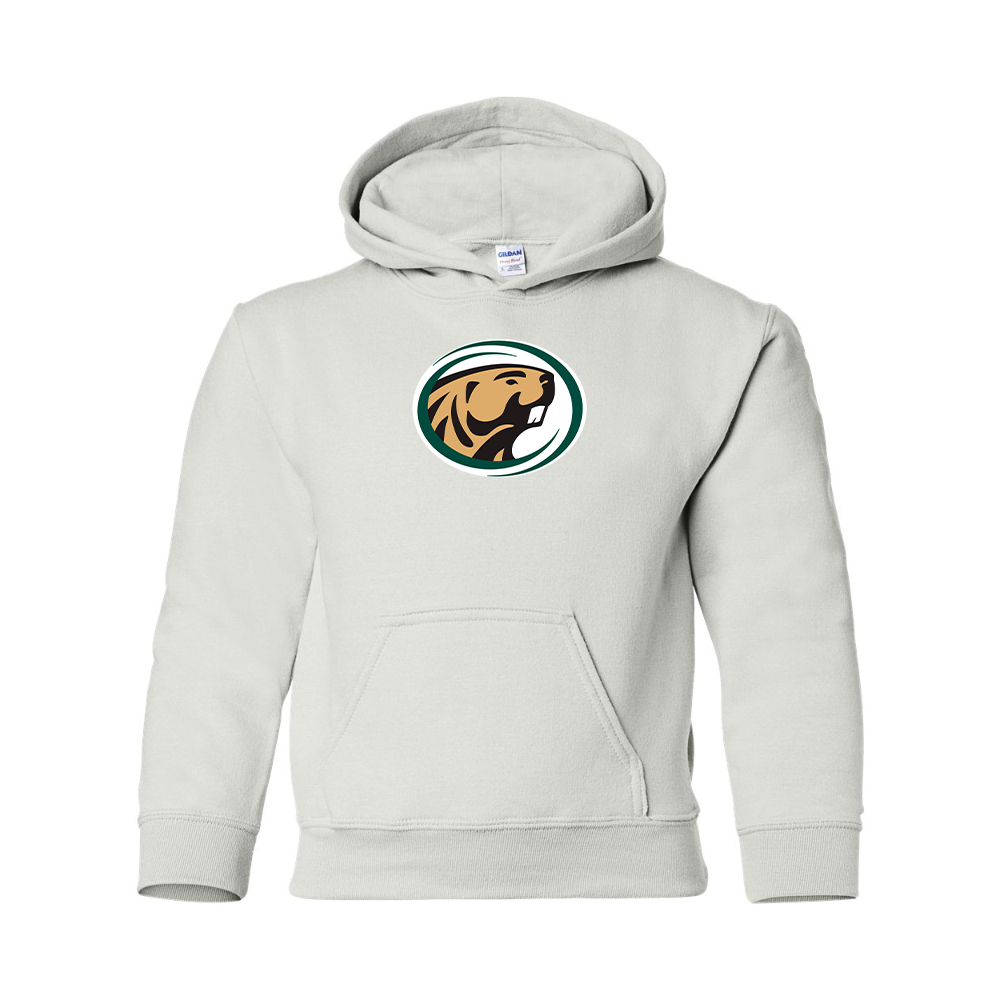 Youth   Bemidji State Beavers Gildan Heavy Blend  Hooded Sweatshirt