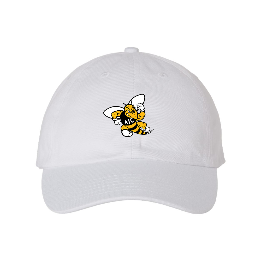AIC Yellow Jackets  Valucap Adult Bio-Washed Classic Dad Hat