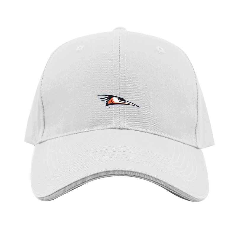 Delmarva Shorebirds Logo  Dad Baseball Cap Hat