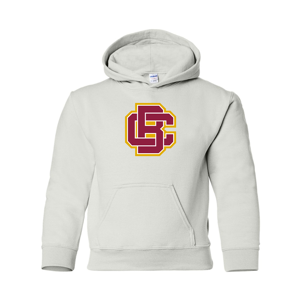 Youth Bethune Cookman Wildcats Gildan Heavy Blend  Hooded Sweatshirt