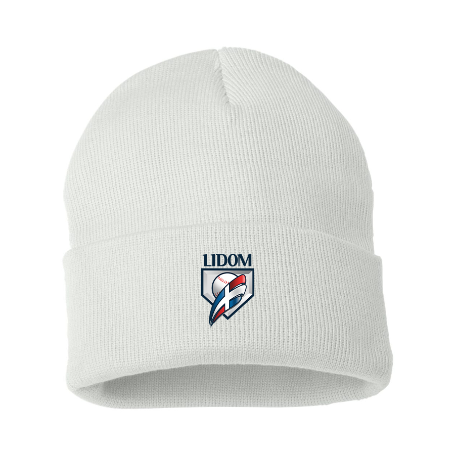 Lidom Logo Beanie Hat
