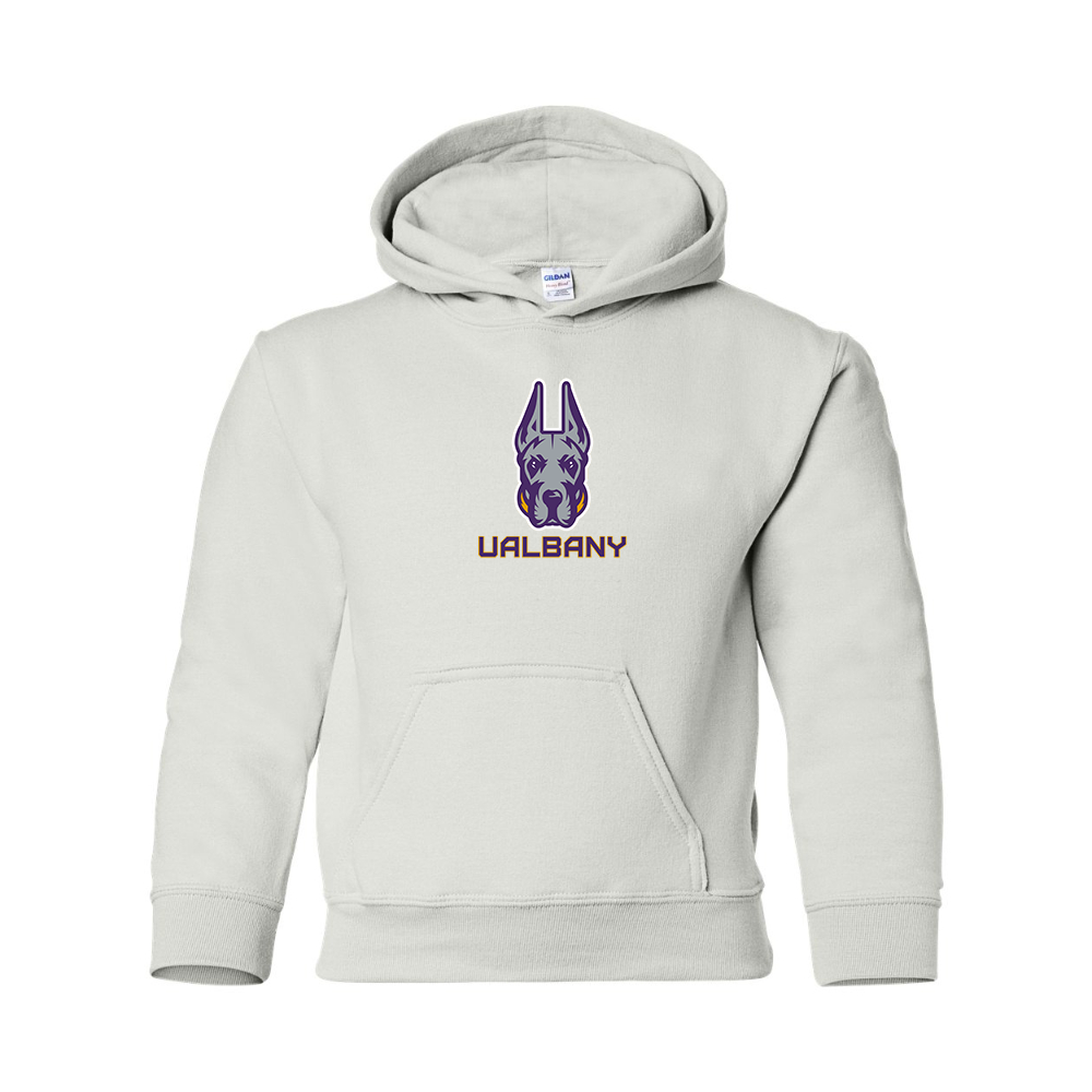 Youth Albany Great Danes Gildan Heavy Blend  Hooded Sweatshirt