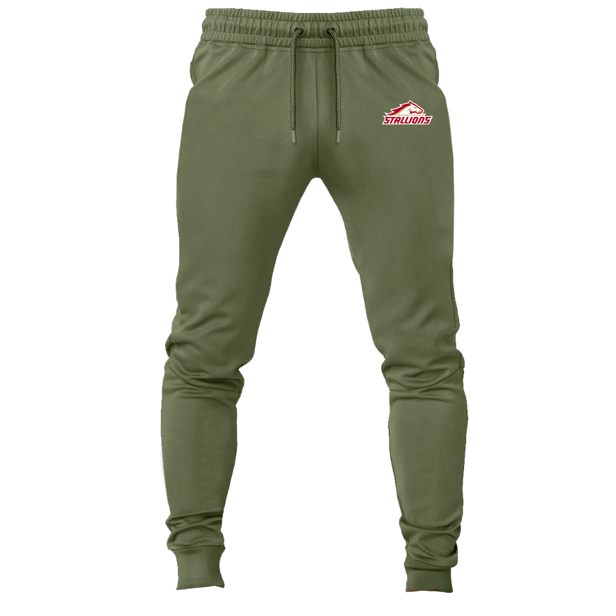 Men's Birmingham Stallions Logo Sweatpants Joggers