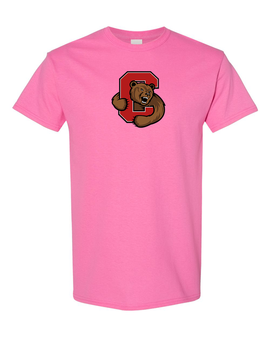 Men's  Cornell Big Red  Gildan Heavy Cotton T-Shirt
