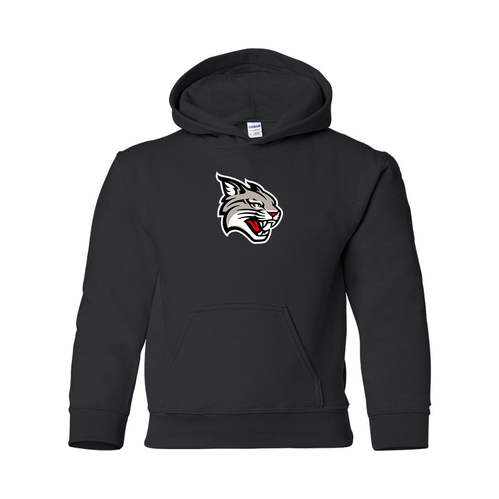 Youth  Davidson Wildcats Gildan Heavy Blend  Hooded Sweatshirt
