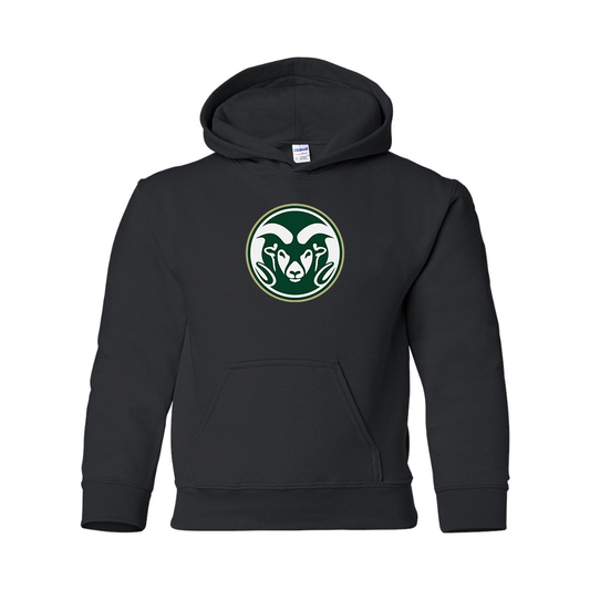 Youth  Colorado State Rams Gildan Heavy Blend  Hooded Sweatshirt