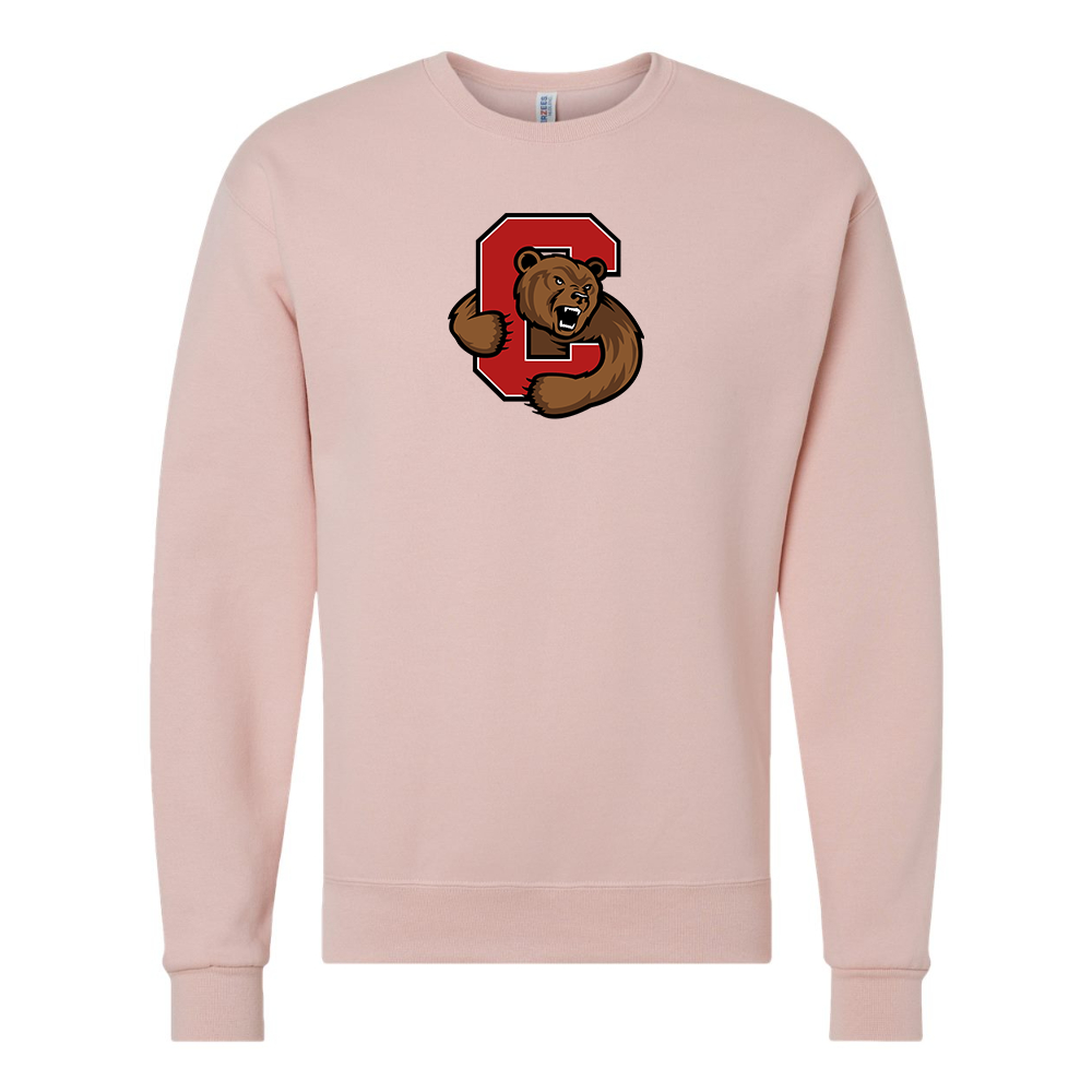 Men's  Cornell Big Red JERZEES NuBlend Crewneck Sweatshirt