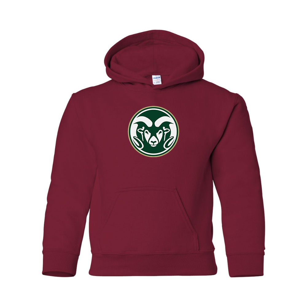 Youth  Colorado State Rams Gildan Heavy Blend  Hooded Sweatshirt