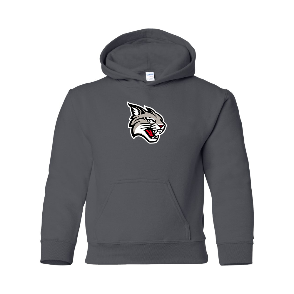 Youth  Davidson Wildcats Gildan Heavy Blend  Hooded Sweatshirt