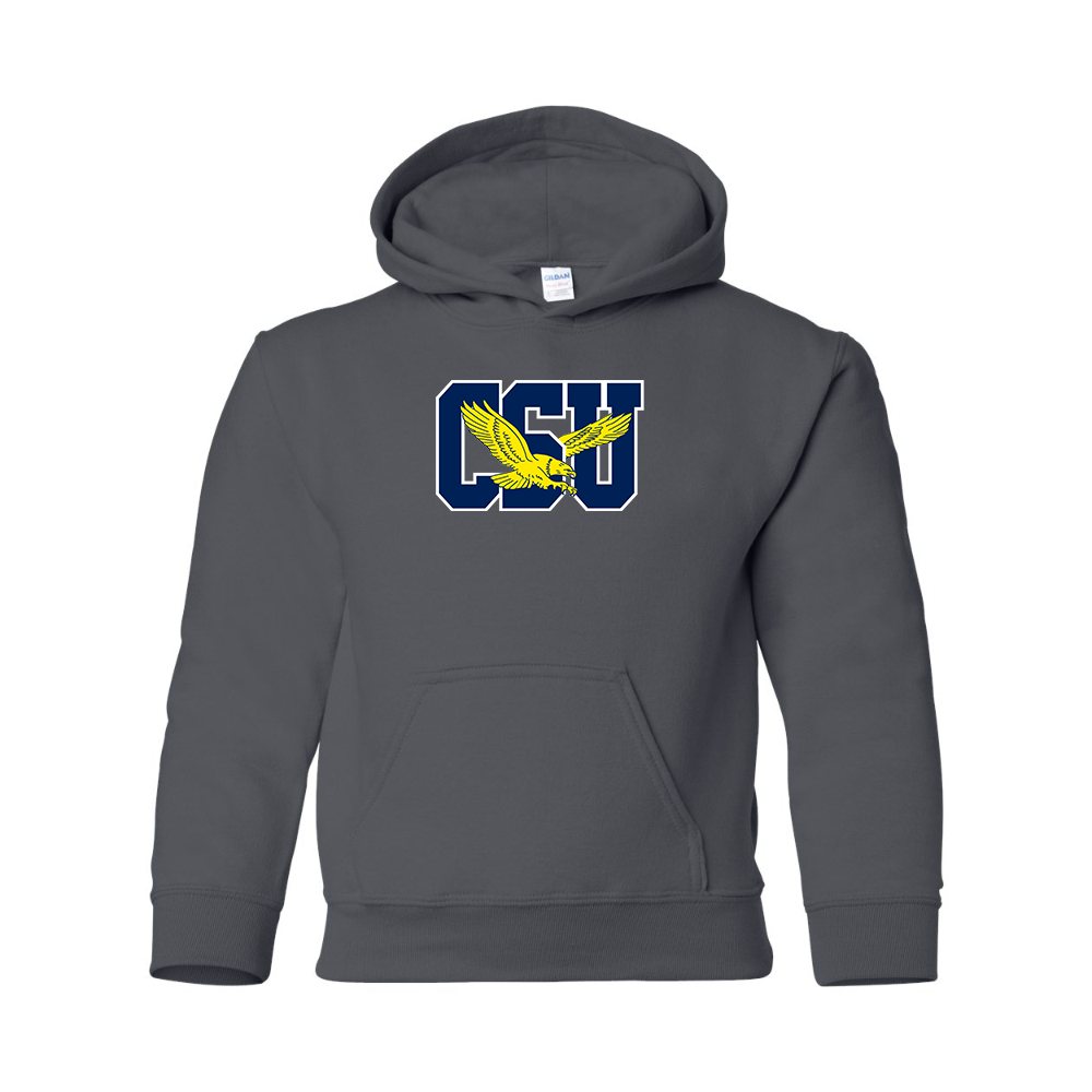 Youth   Coppin State Eagles  Gildan Heavy Blend  Hooded Sweatshirt