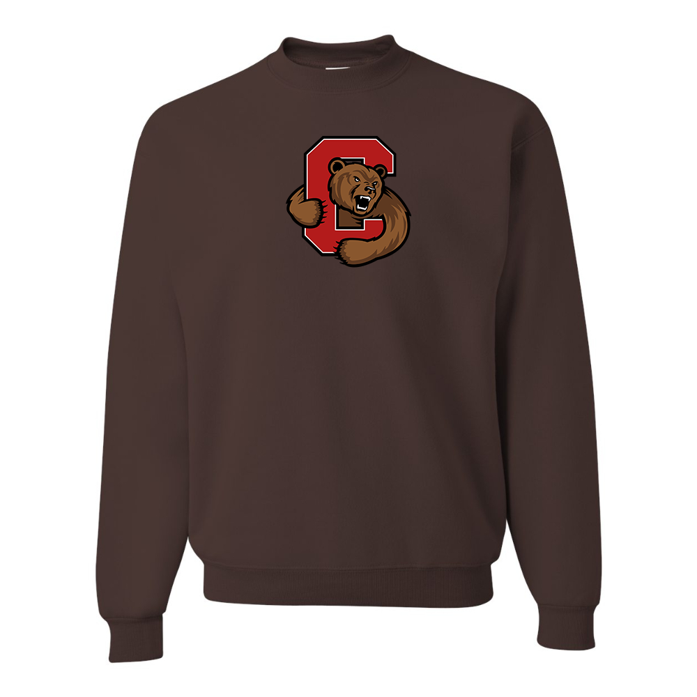Men's  Cornell Big Red JERZEES NuBlend Crewneck Sweatshirt
